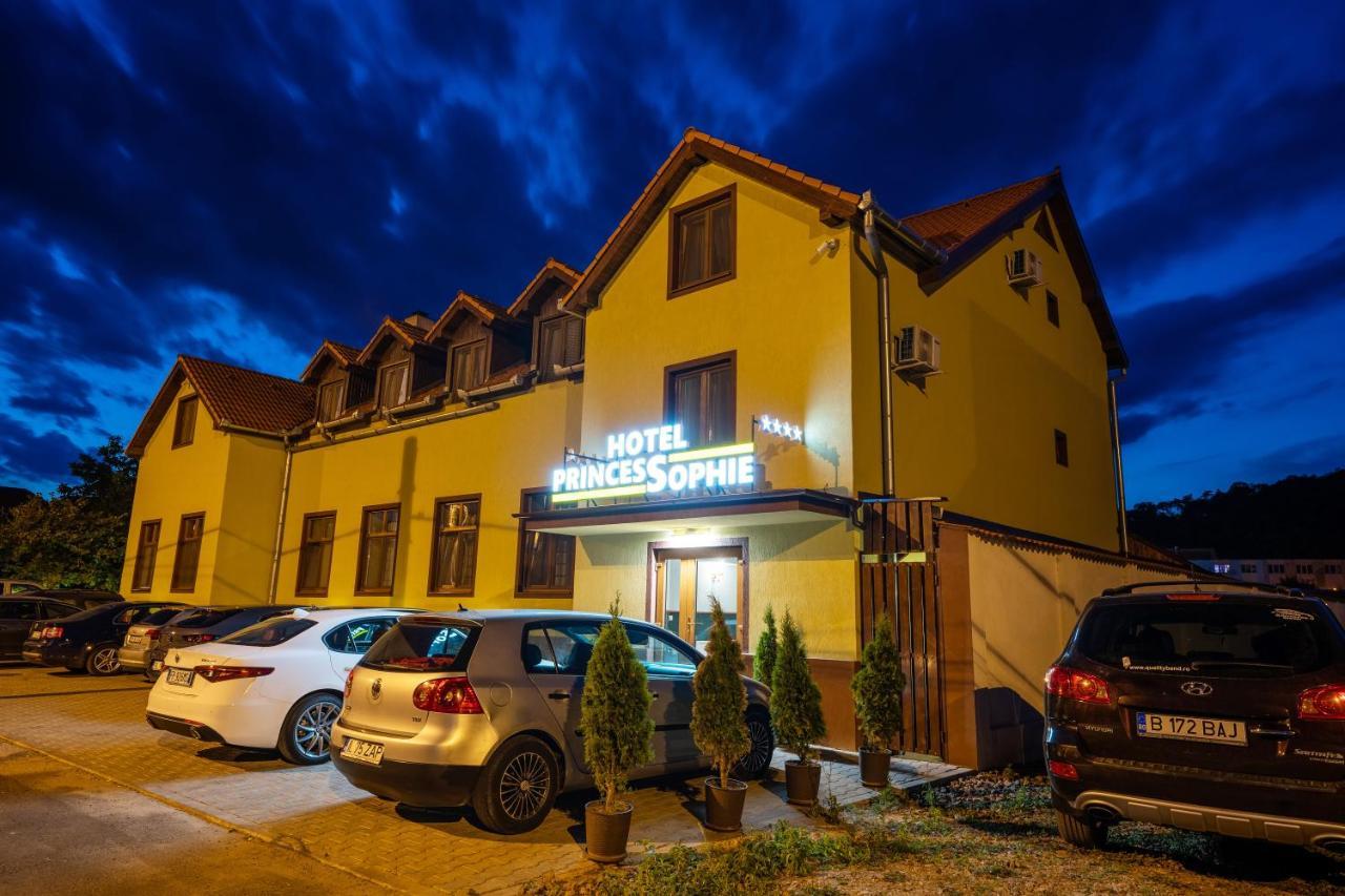 Hotel Princessophie Sighisoara Bagian luar foto